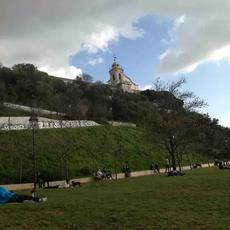 Apartman In The Heart Of - *